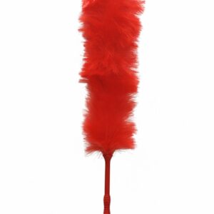 Feather Duster